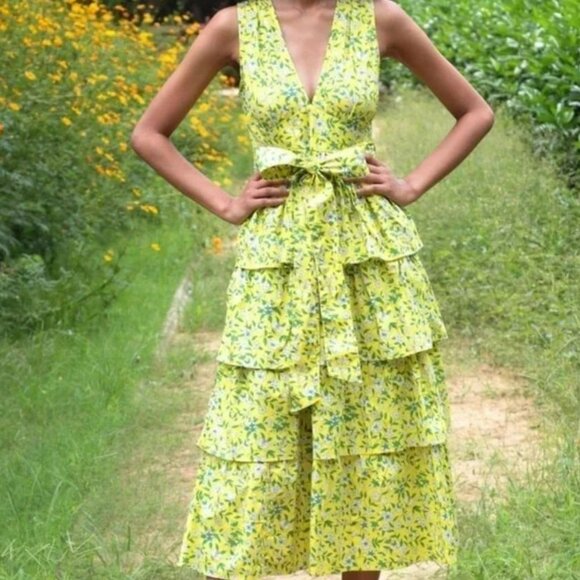 Banjanan Eliza Dress Audrey Sprig Aurora Cotton Poplin Midi - Picture 1 of 10